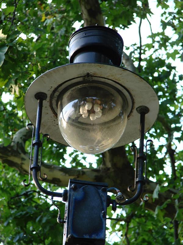 the lamp.jpg