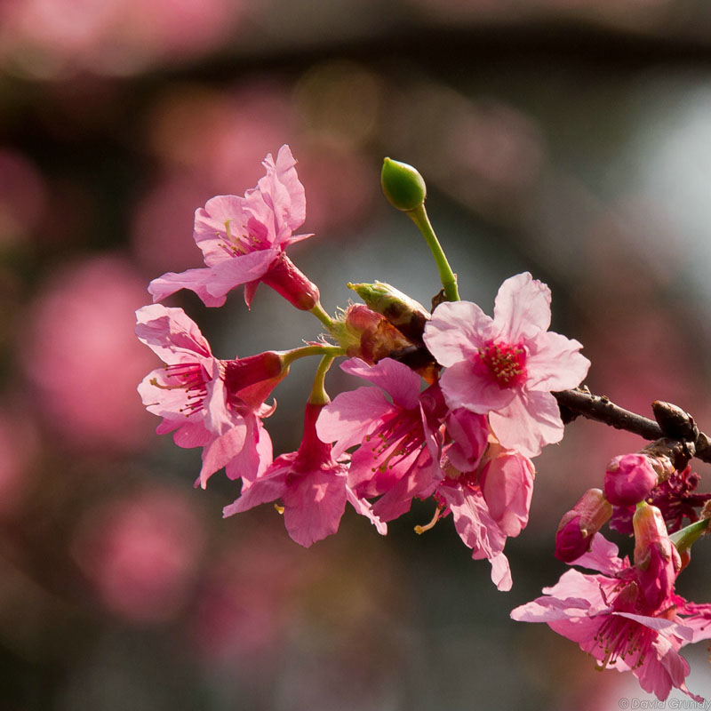 20120330