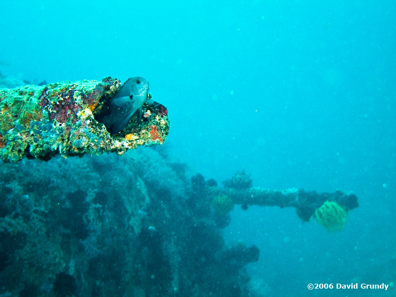 20061230 Dive2 005.jpg