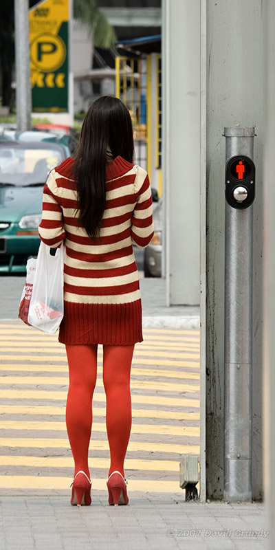 2007.04.20 Red zebra
