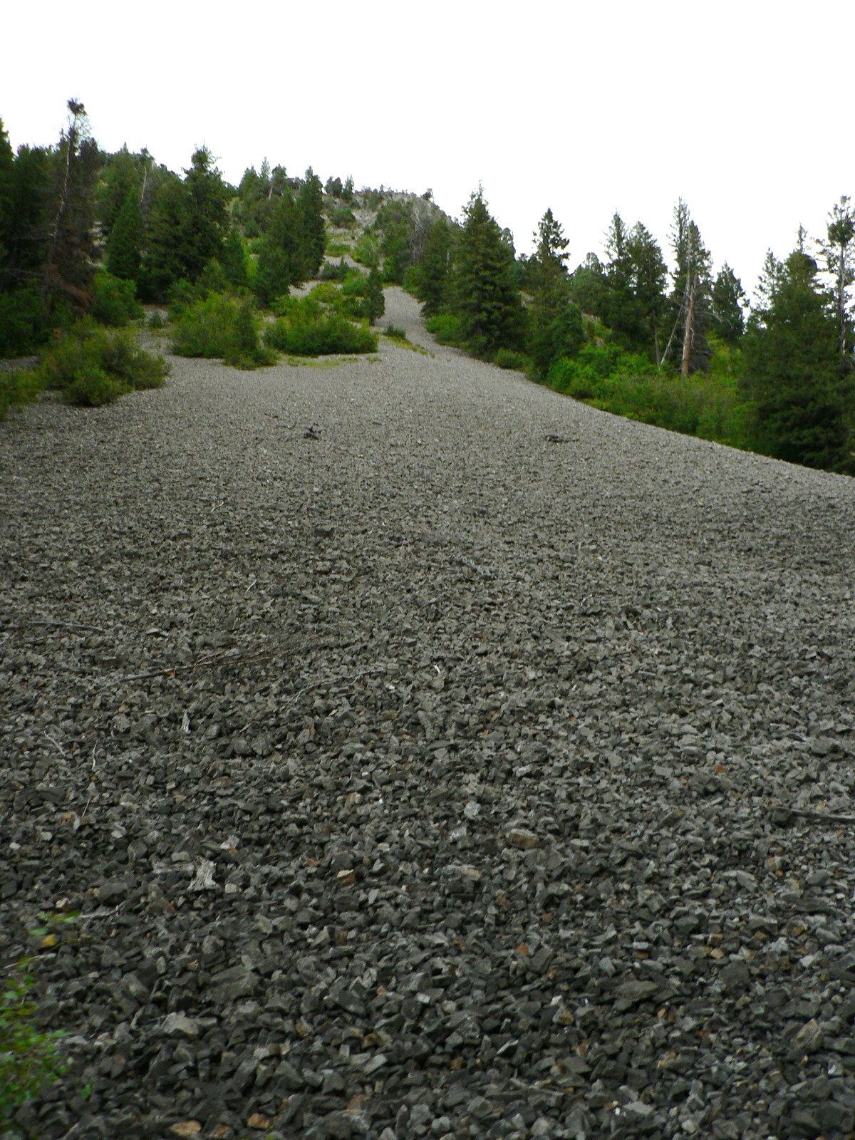 P1050024.JPG