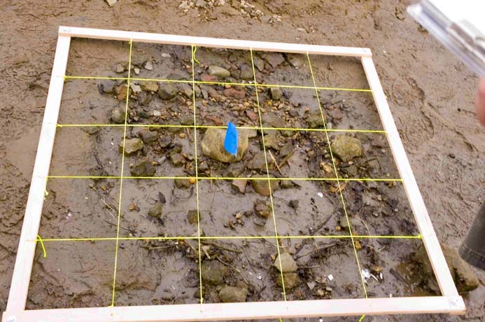 Sauvie Island Archaelogical Dig   - 2007