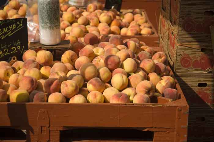 Farmers Market - peaches