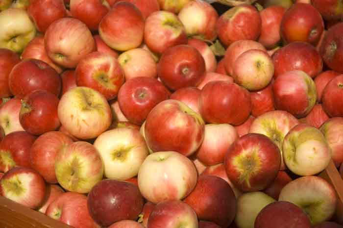 Farmers Market - apples