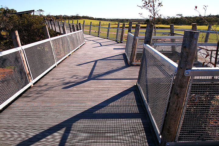 Wooden walkway from giraffe viewing platform