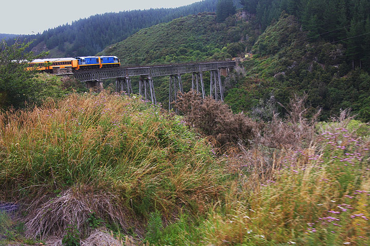 Taeiri Gorge bridge