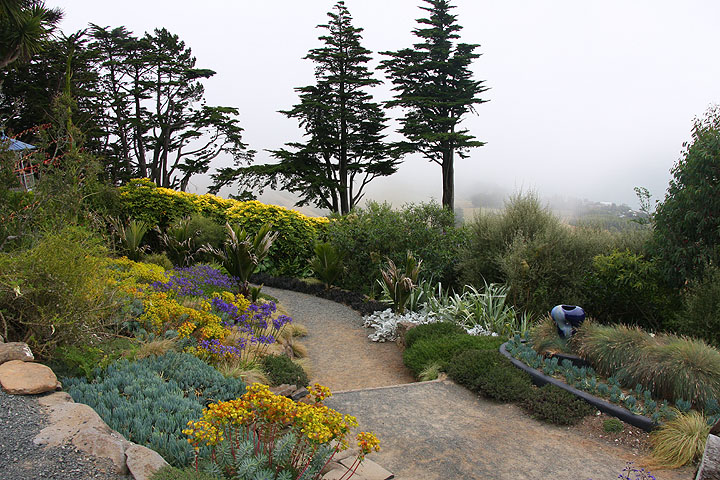 The path through the mist