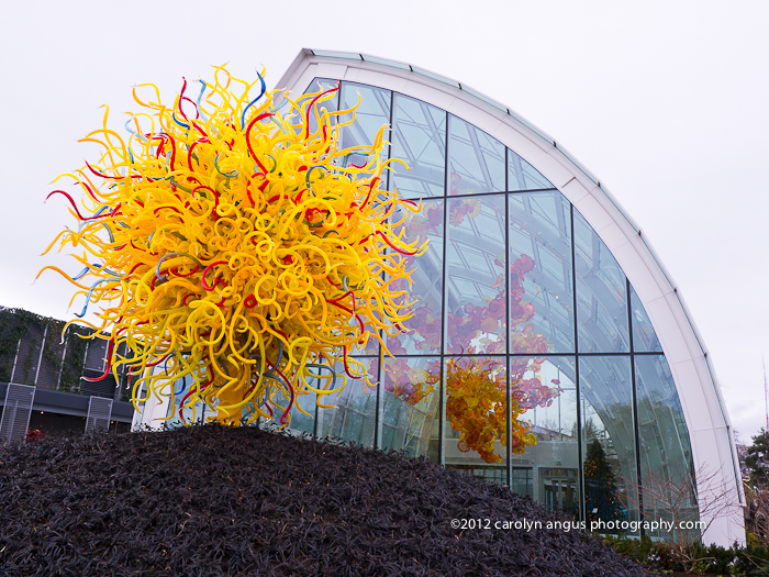 Chihuly House of Glass Exterior