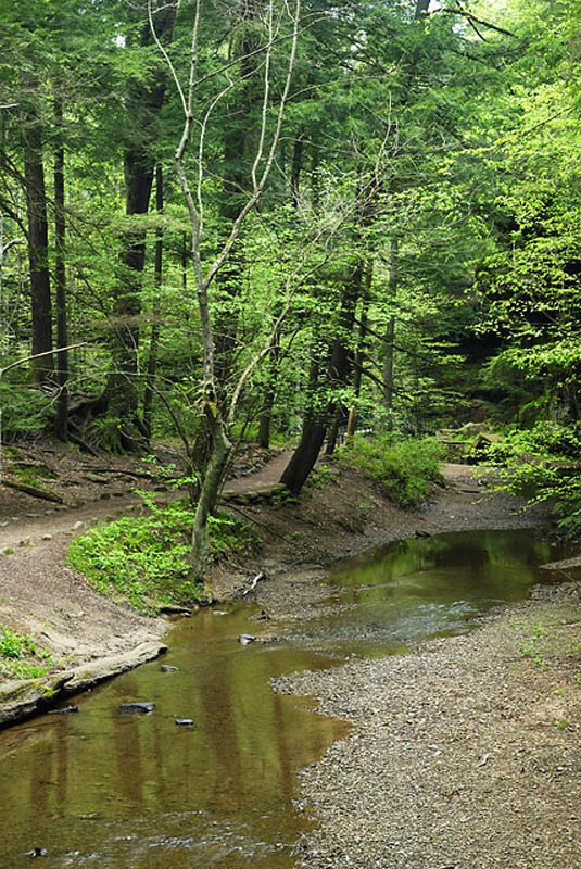 HH2007-05-04_0028.jpg