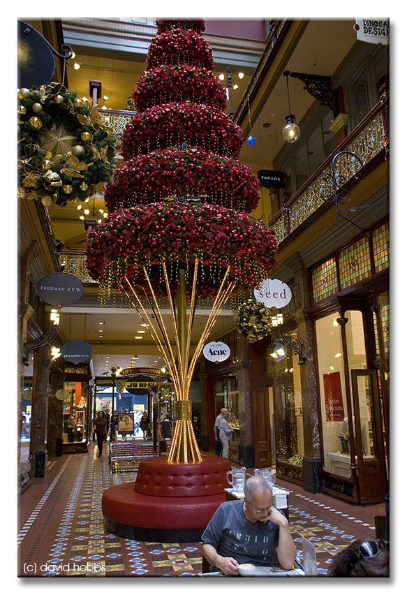23Dec10Jf.jpg
