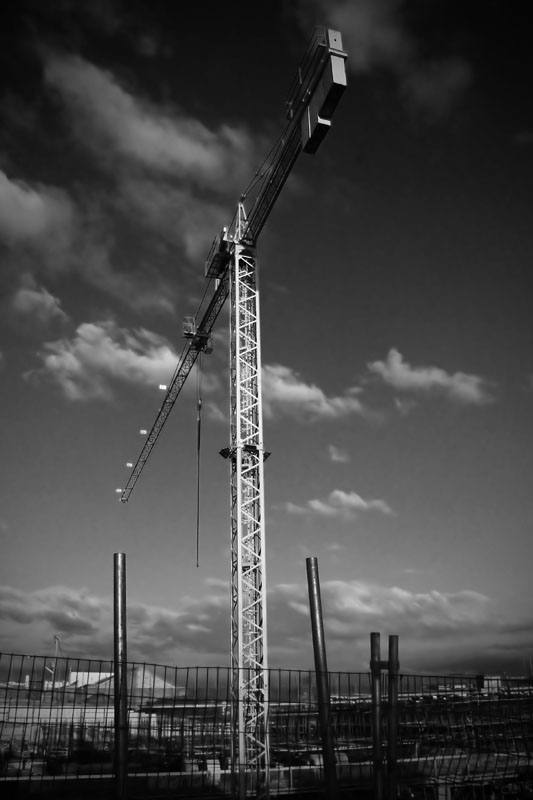 crane v.jpg