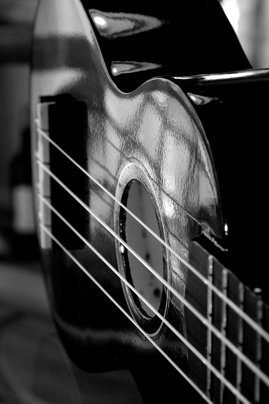 ukelele 1 v.jpg