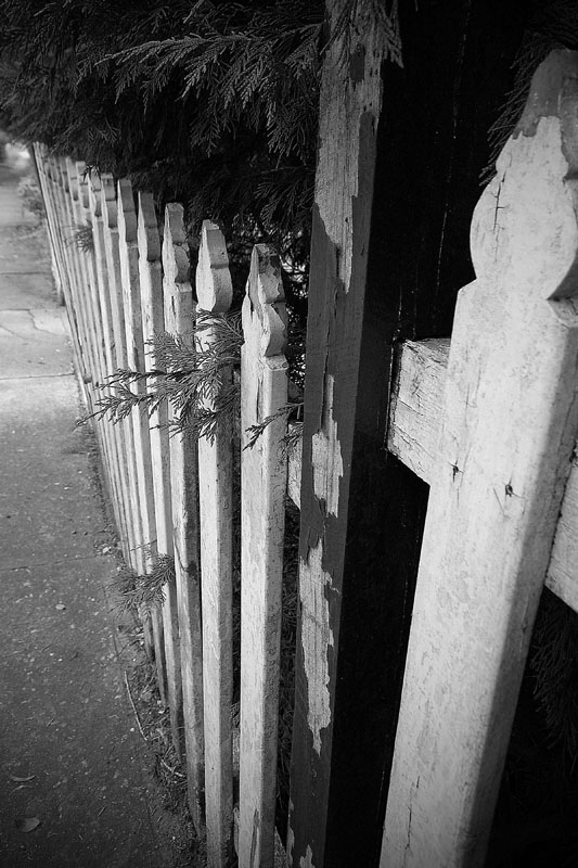 fence 1 v.jpg