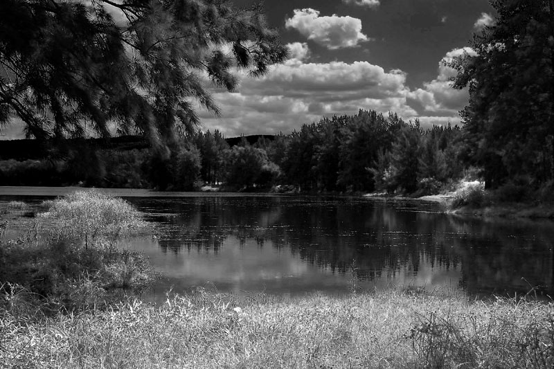 nepean h.jpg