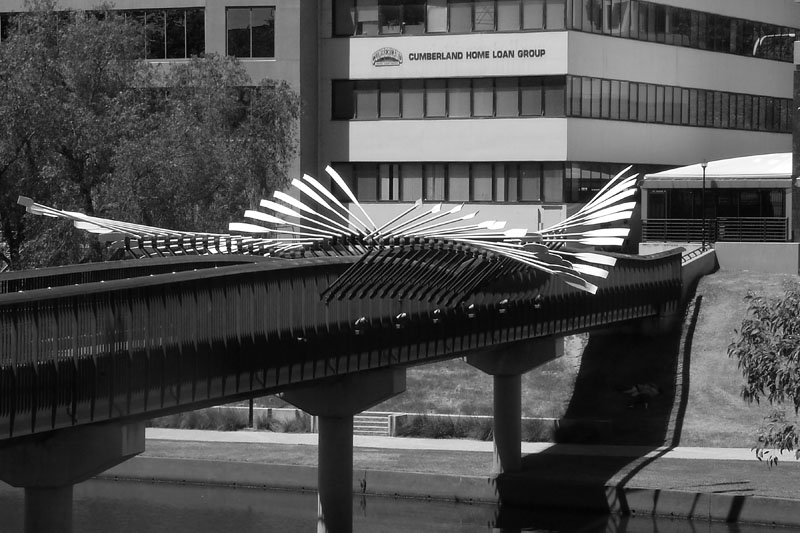 parramatta river 1 h.jpg