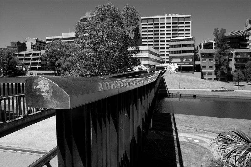 parramatta river 2 h.jpg