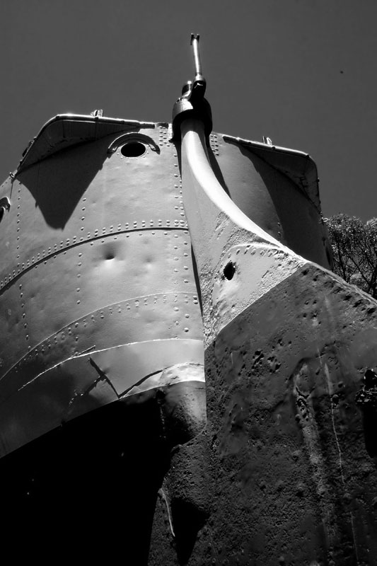 parramatta river 9 v.jpg