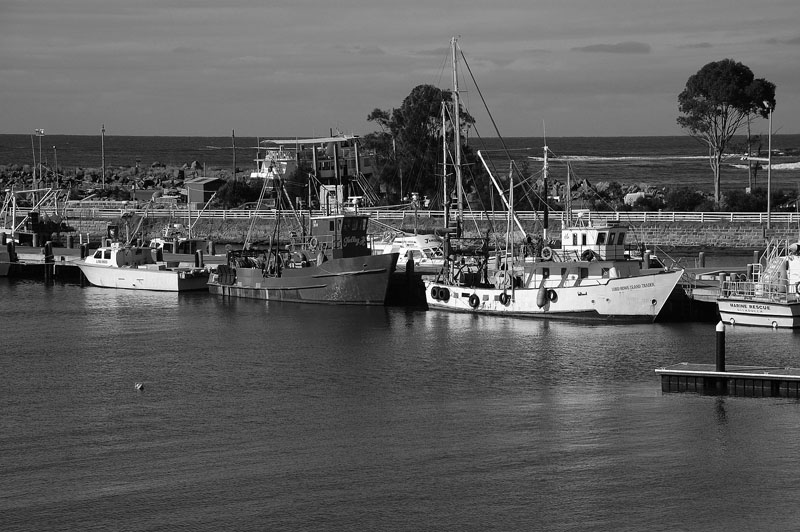 trawlers h.jpg