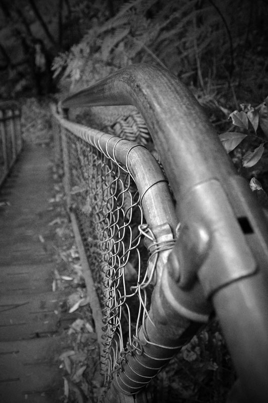 wire fence 4 v.jpg