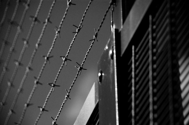 wire fence 6 h.jpg
