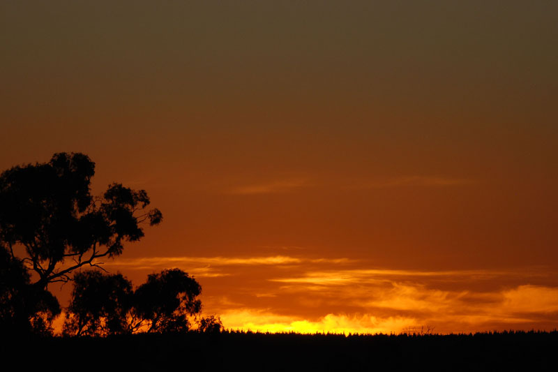 firey sunset h.jpg