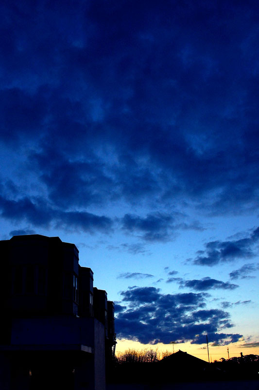 late blue v.jpg