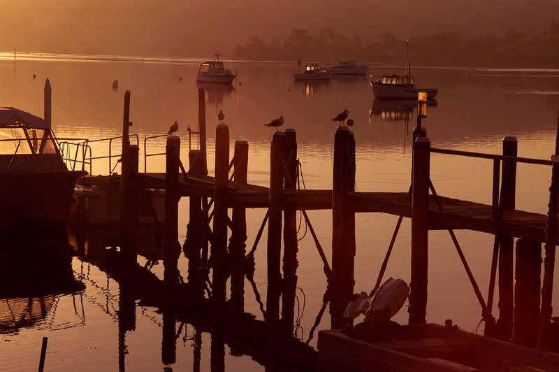 wharf at narooma 3 h.jpg