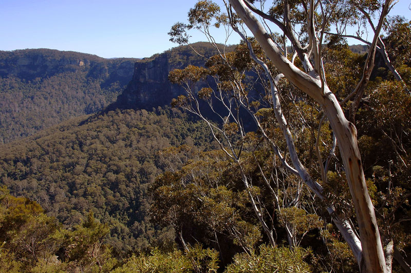 jamison valley 1 h.jpg