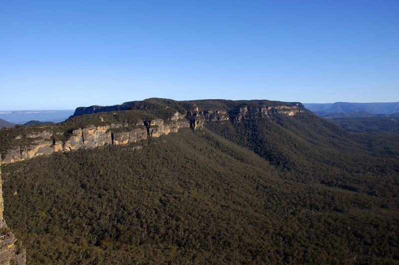narrow neck 2 h.jpg