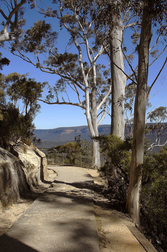 three sisters track 2 v.jpg