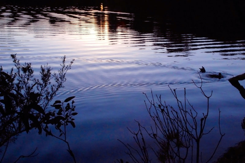 wentworth falls lake 2 h.jpg