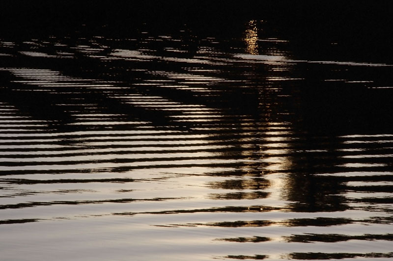 wentworth falls lake 5 h.jpg