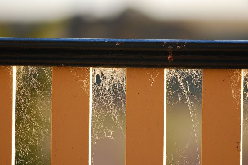 cobweb railing h.jpg