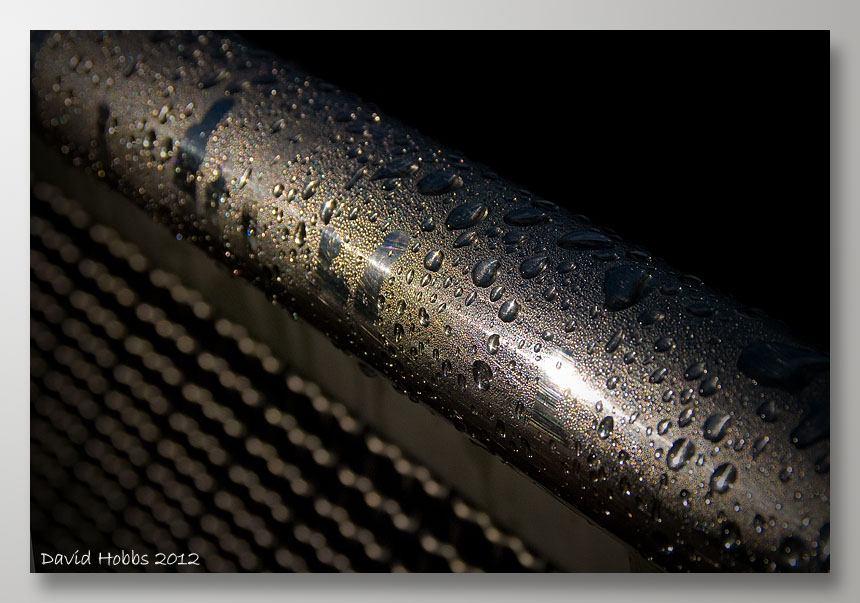 droplets on railing f.jpg