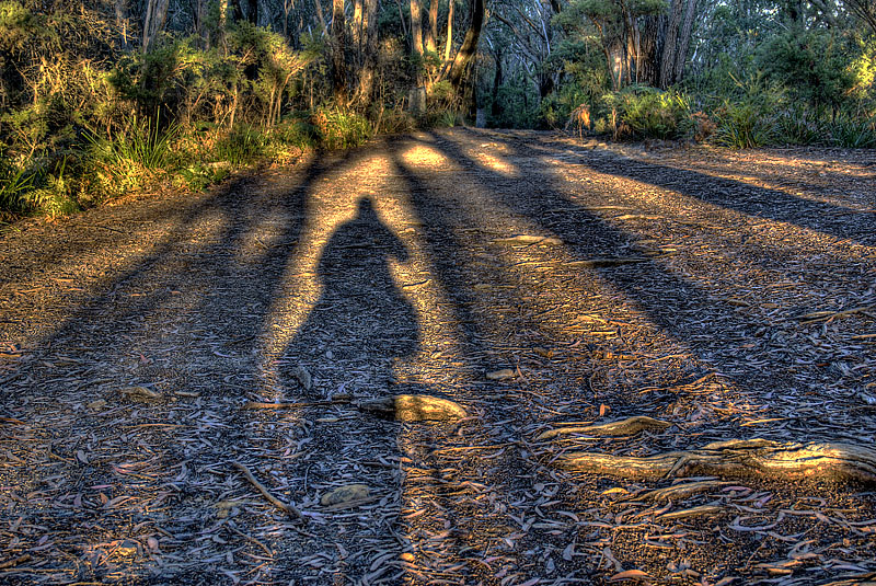 mt vic zig zag track 1w.jpg