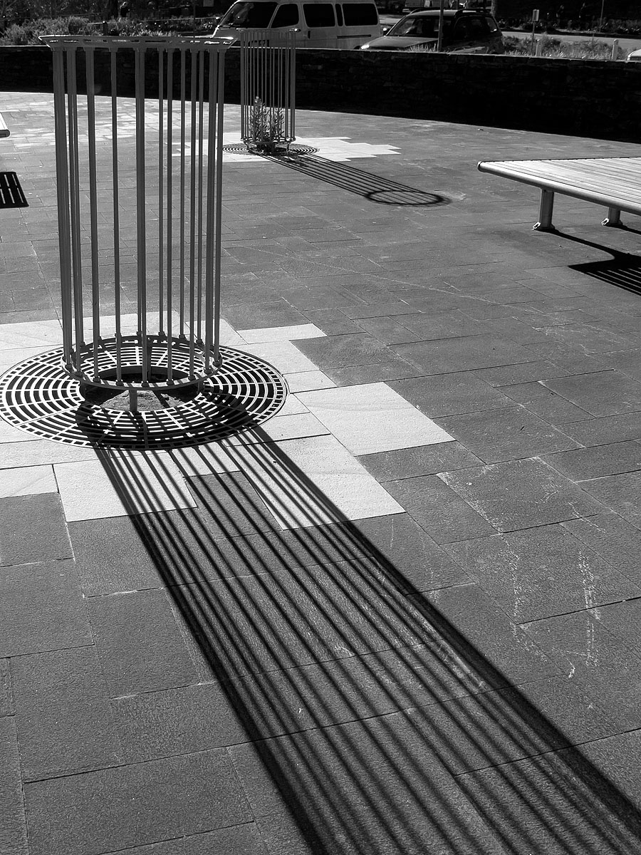 cage shadow w.jpg