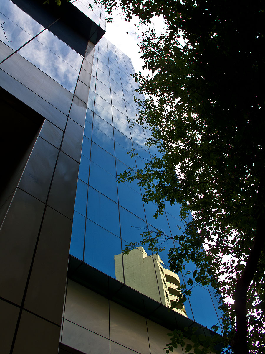 SB1206W.jpg