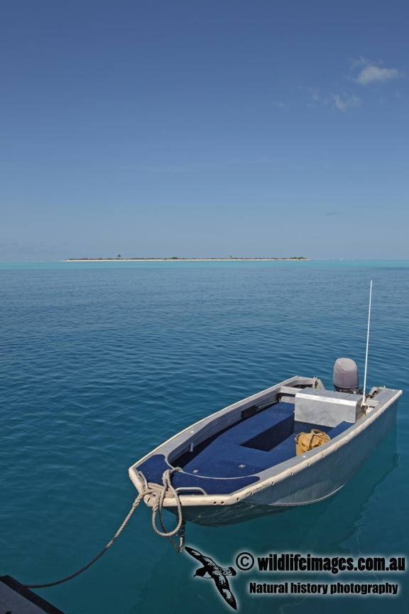 West Island 9025.jpg