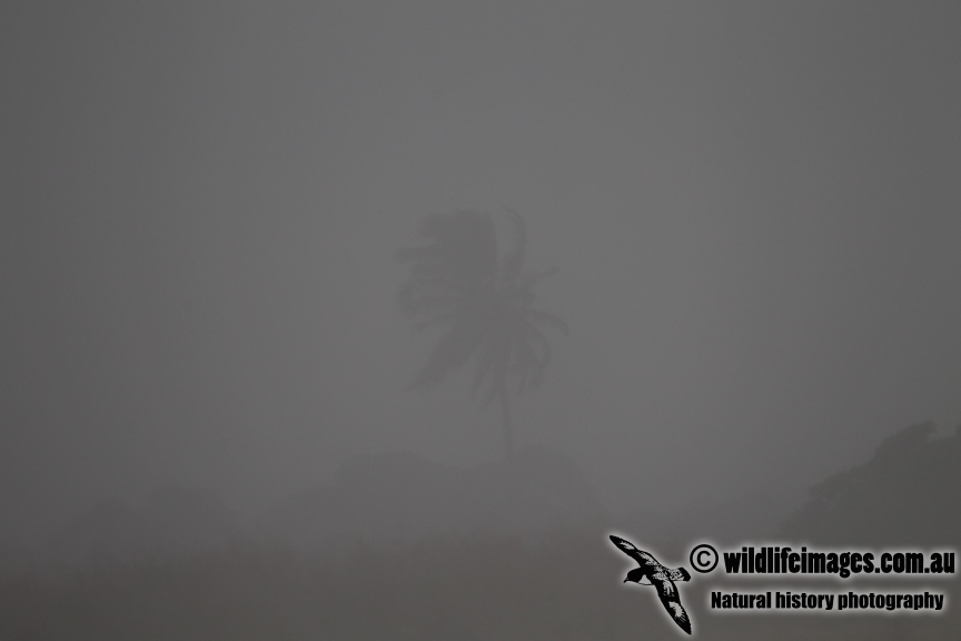 Ashmore Reef storm 2100.jpg