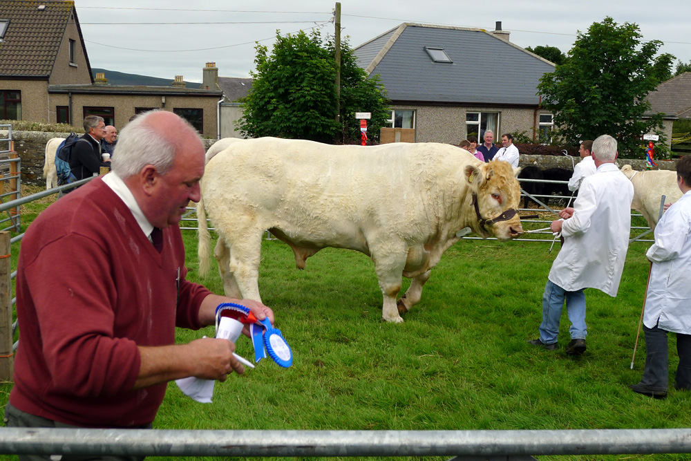 Orkney Show.jpg