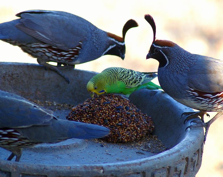 Surrounded