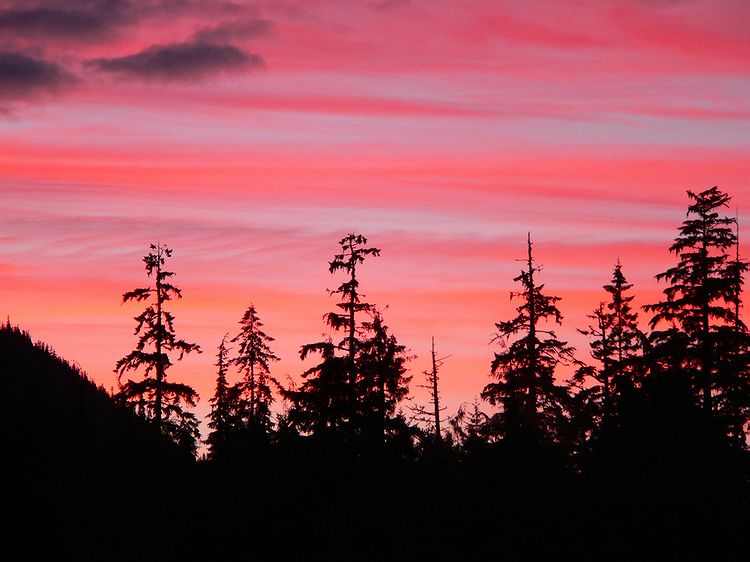Petersburg Sunset #3