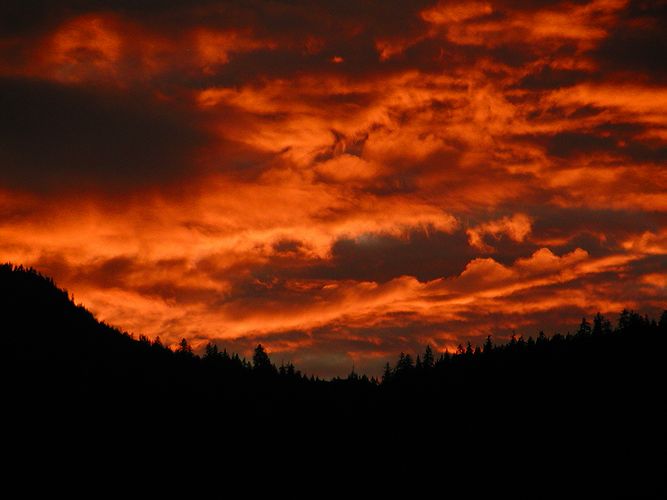 Petersburg Sunset #5
