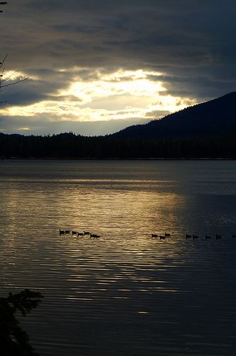 Petersburg Sunse #8