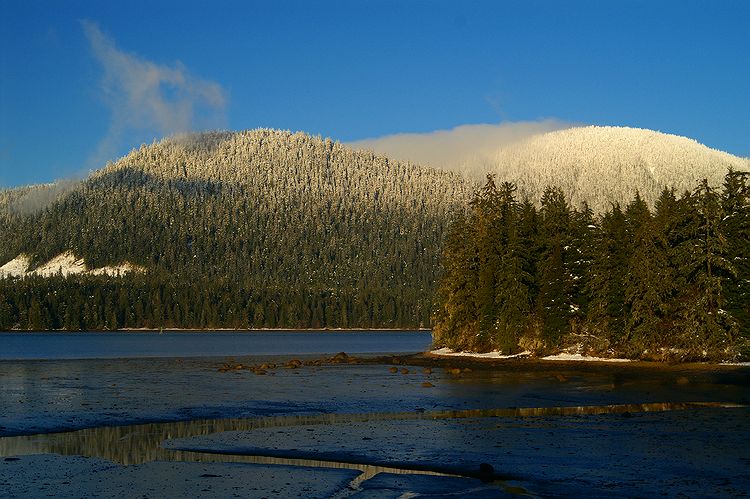 PICT6215c.jpg
