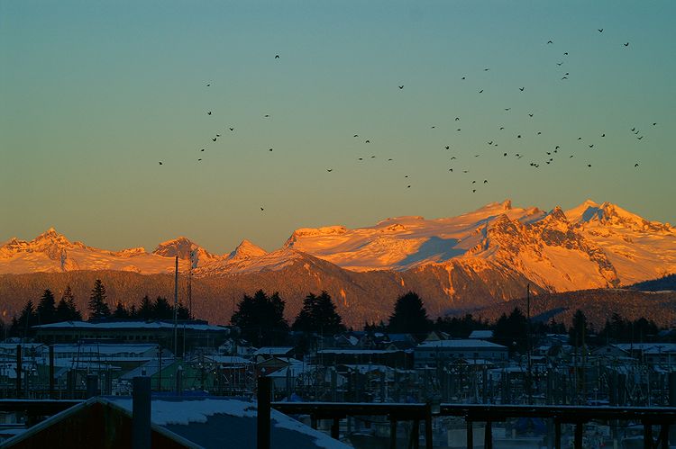 11-27-06 Last LIght #1