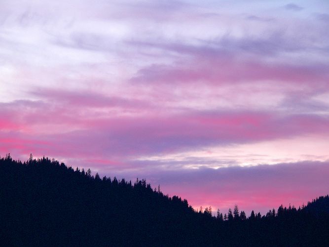 P1040821c.jpg