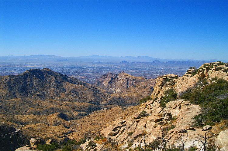 Mt Lemmon  #2