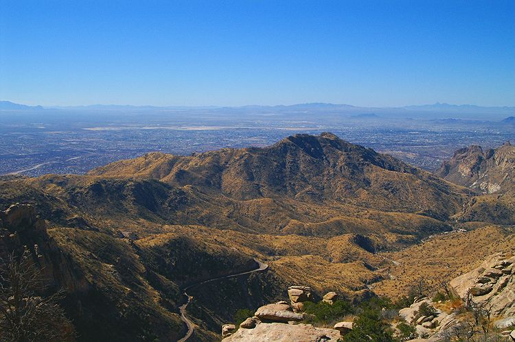 Mt Lemmon  #3