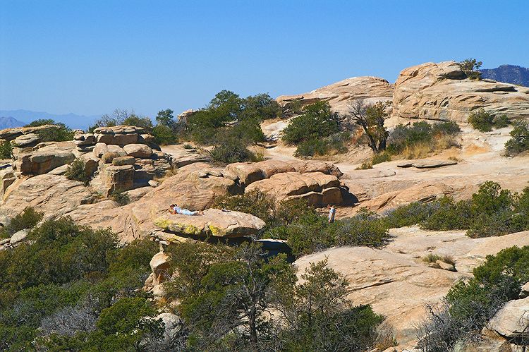 Mt Lemmon  #4